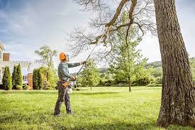 Best Lawn Pest Prevention  in Pelican Rapids, MN
